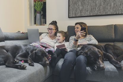 Family using laptop and sitting on sofa with two black dogs