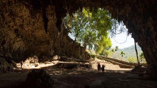 A large cave that opens out to a tropical landscape