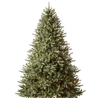 Balsam Hill Canadian Blue Green Spruce Tree (7ft)