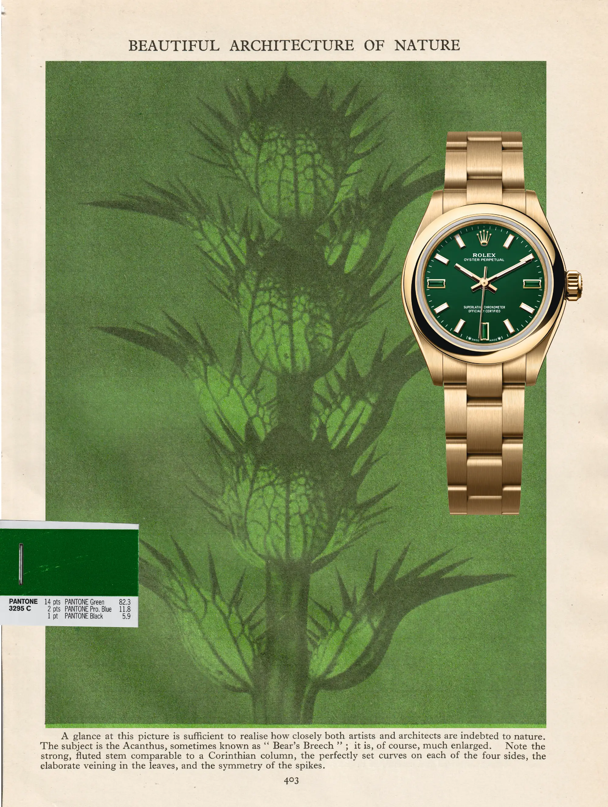 BLE25.watches_collage.WATCHESbleed2