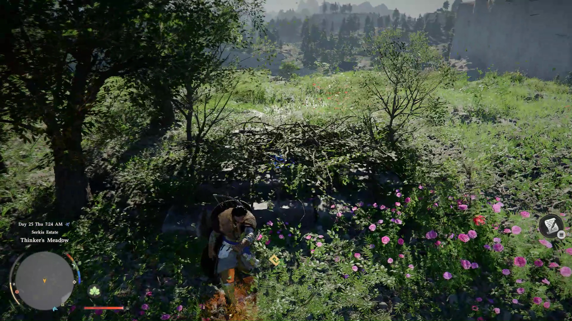 How to fast travel to Howling Hill and Thinker's Meadow in Crimson Desert