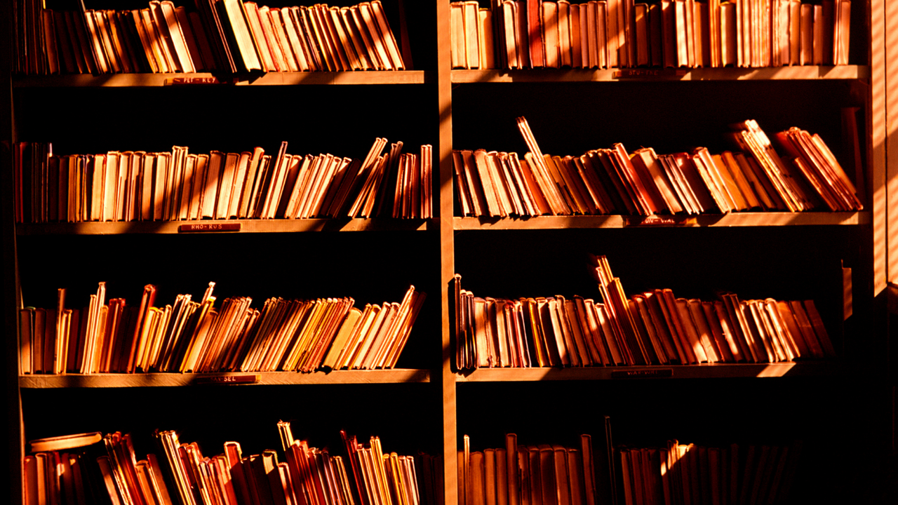 School library shelves