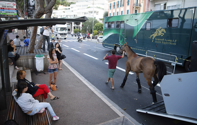The horses arrive at Port Hercules