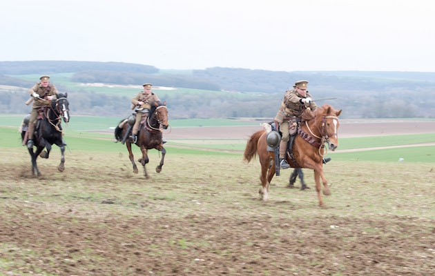 41137828611_1bb4bcd901_o
