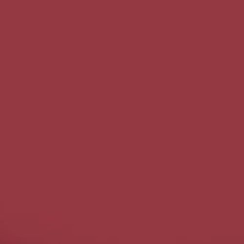 RUSTINS, Quick Dry Floor Paint in Red, 1L