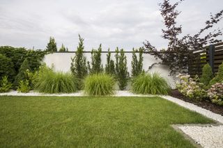 modern plot with lawn and gravel edge