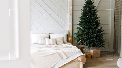 Decorated Christmas tree in a bedroom used to illustrate an article on 'how long do christmas trees' last