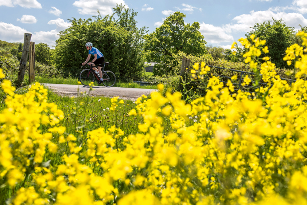 Cycling in the summer