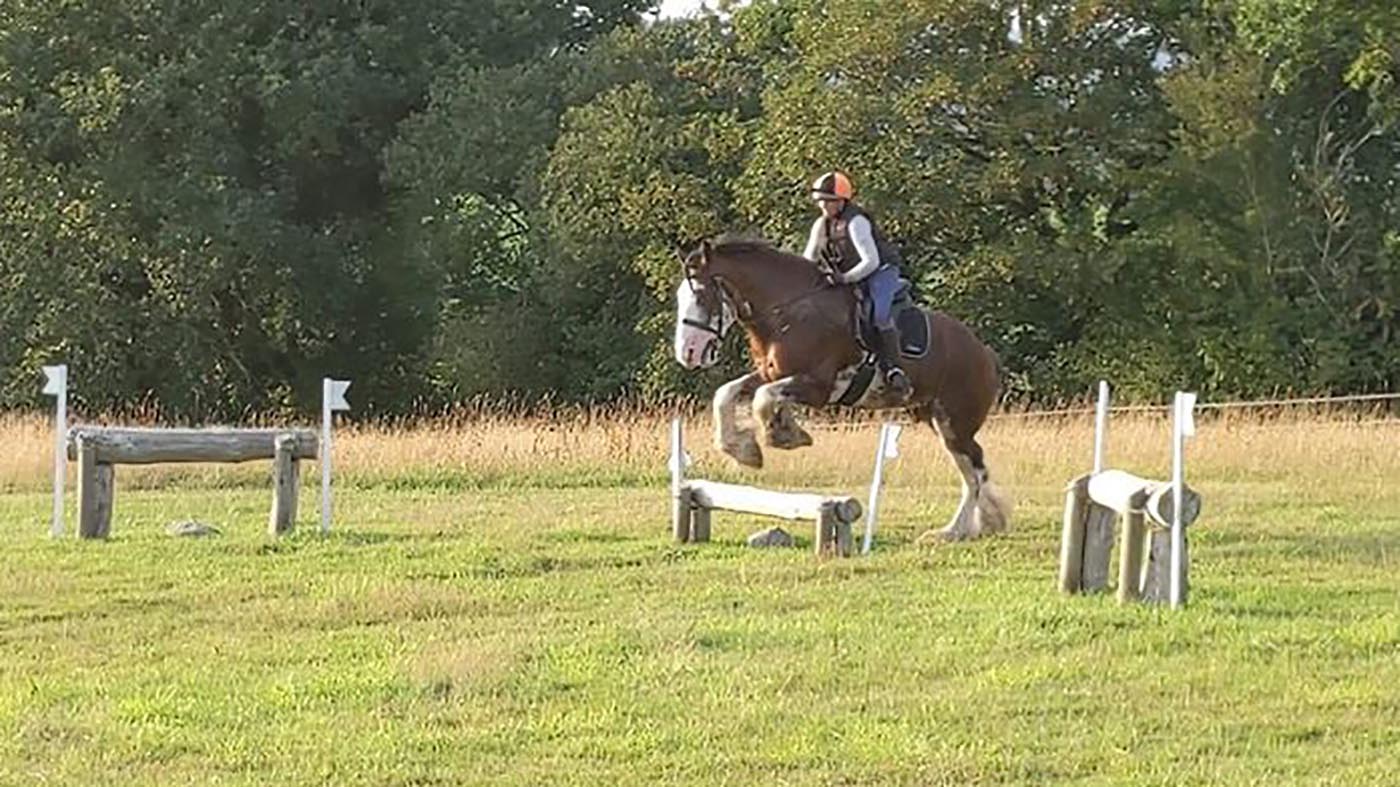 Clydesdale-xc2.jpg