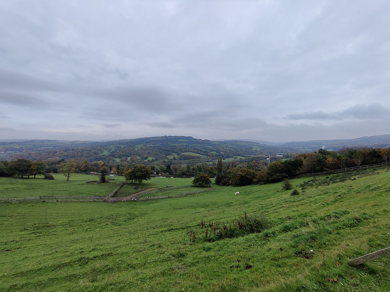 OnePlus 8T camera sample