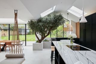 modern kitchen with a tree in a middle