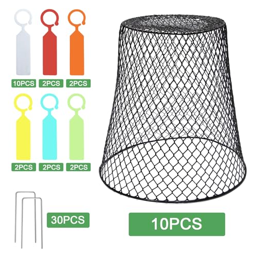 Dukelai 10 Pcs 9.13"&amp;times;9.13" Chicken Wire Cloche Plant Covers Garden Netting Metal Heavy Duty Plant Protectors From Animals for Keeping Bunnies Chicken Squirrels Birds Other Out