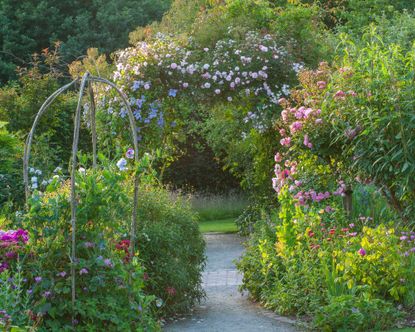 Rose garden ideas: 10 beautiful bloom-filled schemes | Gardeningetc