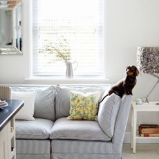 living room with sofa set and pet dog