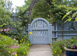 A small garden with flowers, a garden path, and a blue fence and gate