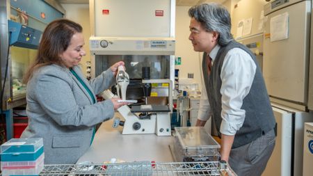 A man with long gray hair wearing a brown vest and white shirt speaks with a woman with long brown hair as they both look at various prosthetic limbs.