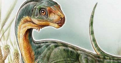 7-year-old boy discovers new species of dinosaur