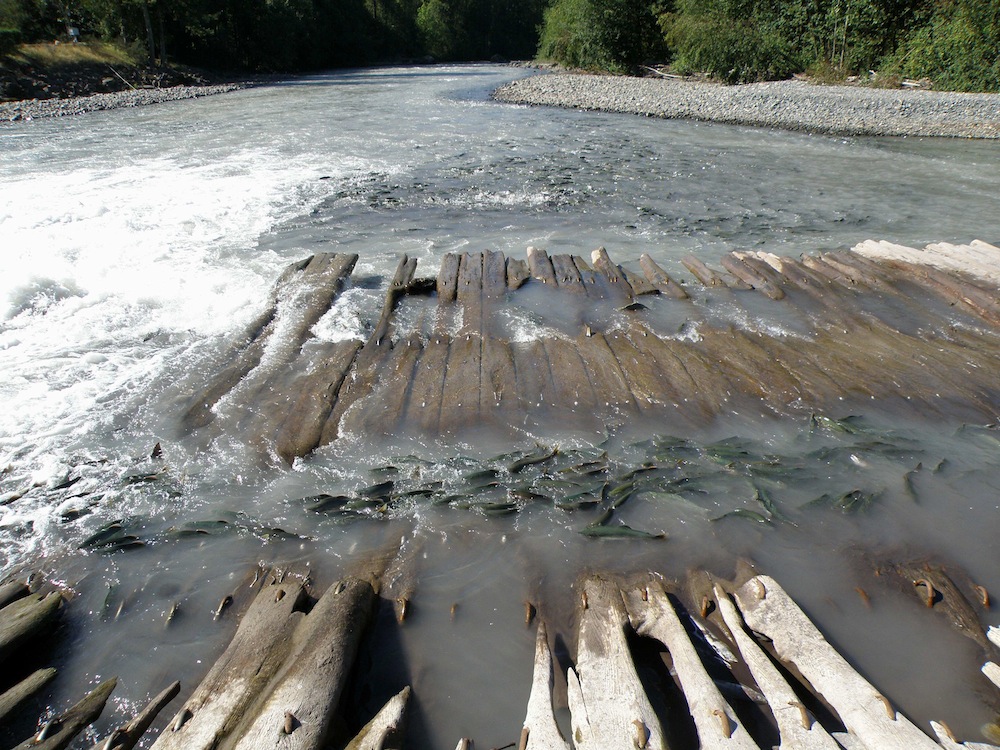 White River in Washington