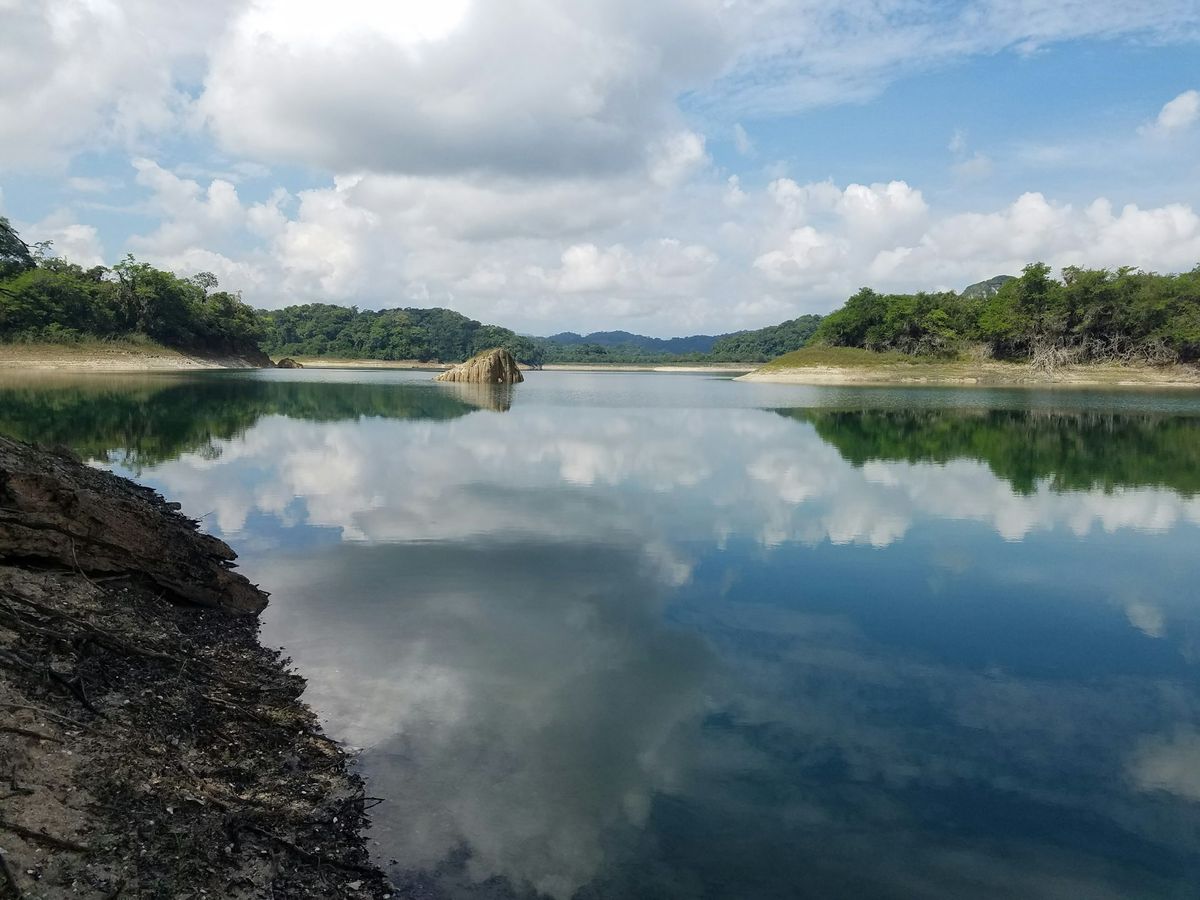 The protected forest of Puerto Bello Metzabok.