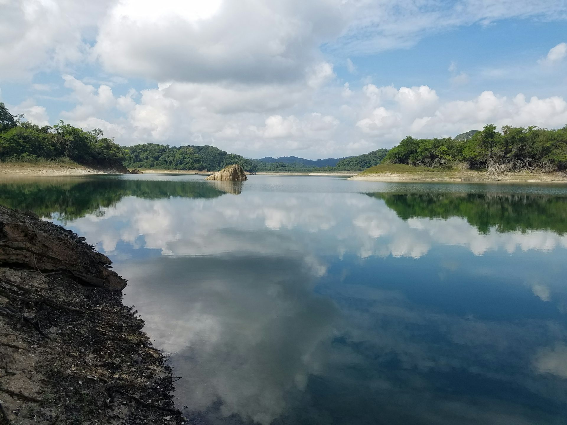The protected forest of Puerto Bello Metzabok.
