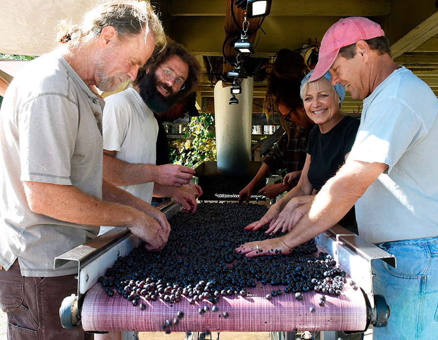 Team at Linden Vineyards Virginia