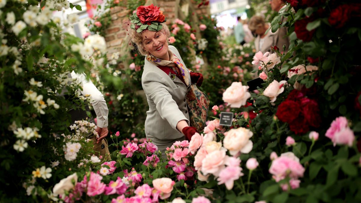 Despite the crowds, The Royal Horticultural Society has warned of Britain having a 'lost generation' with no gardening skills