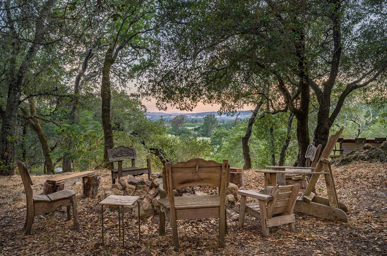luxury sonoma vineyard property listed by Sotheby's and Carol Sebastiani