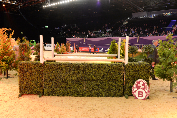 Fence8_HOYSPN15_48889
