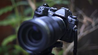 The OM System OM-1 camera body, against a woodland background