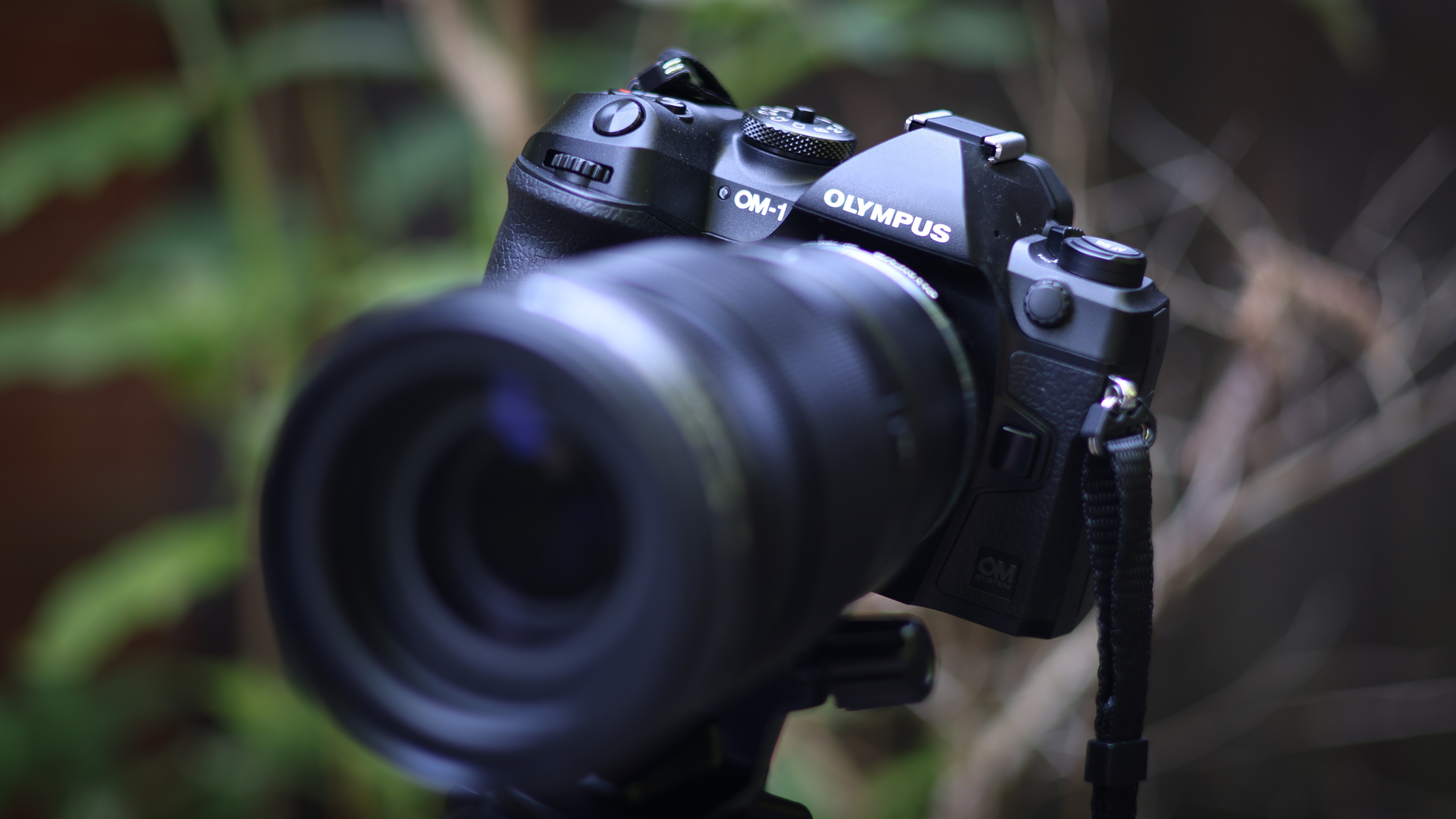 OMDS OM SYSTEM OM-1 review: Micro Four Thirds is alive and very well