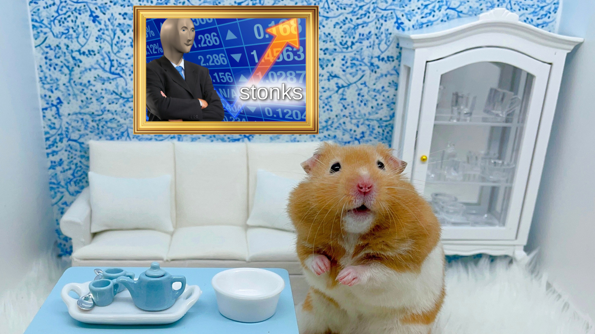 This Crypto trading hamster is outperforming Warren Buffet TechRadar