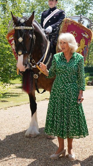 Queen Camilla names the new Household Cavalry Drum Horse 'Juno'