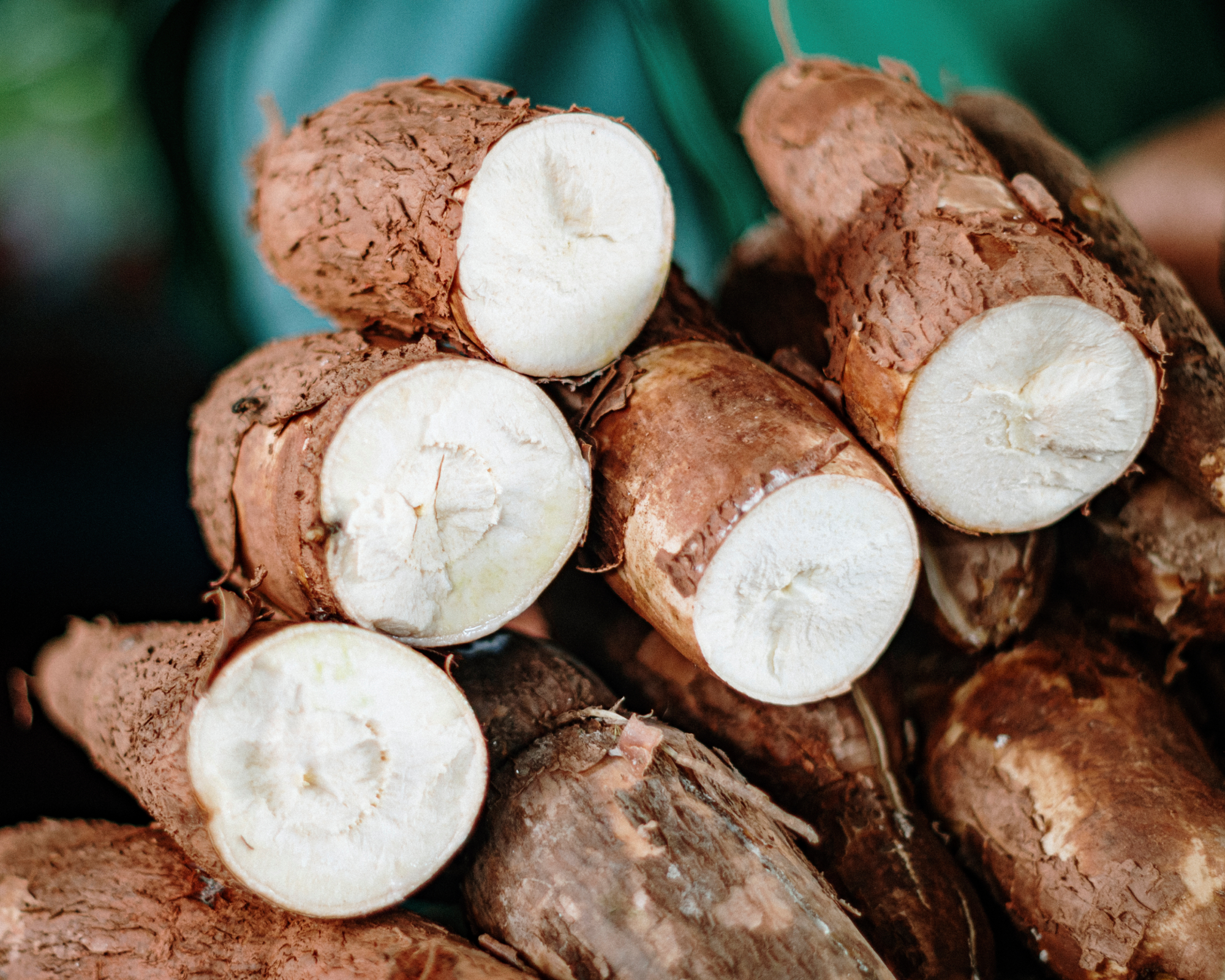 Cassava roots