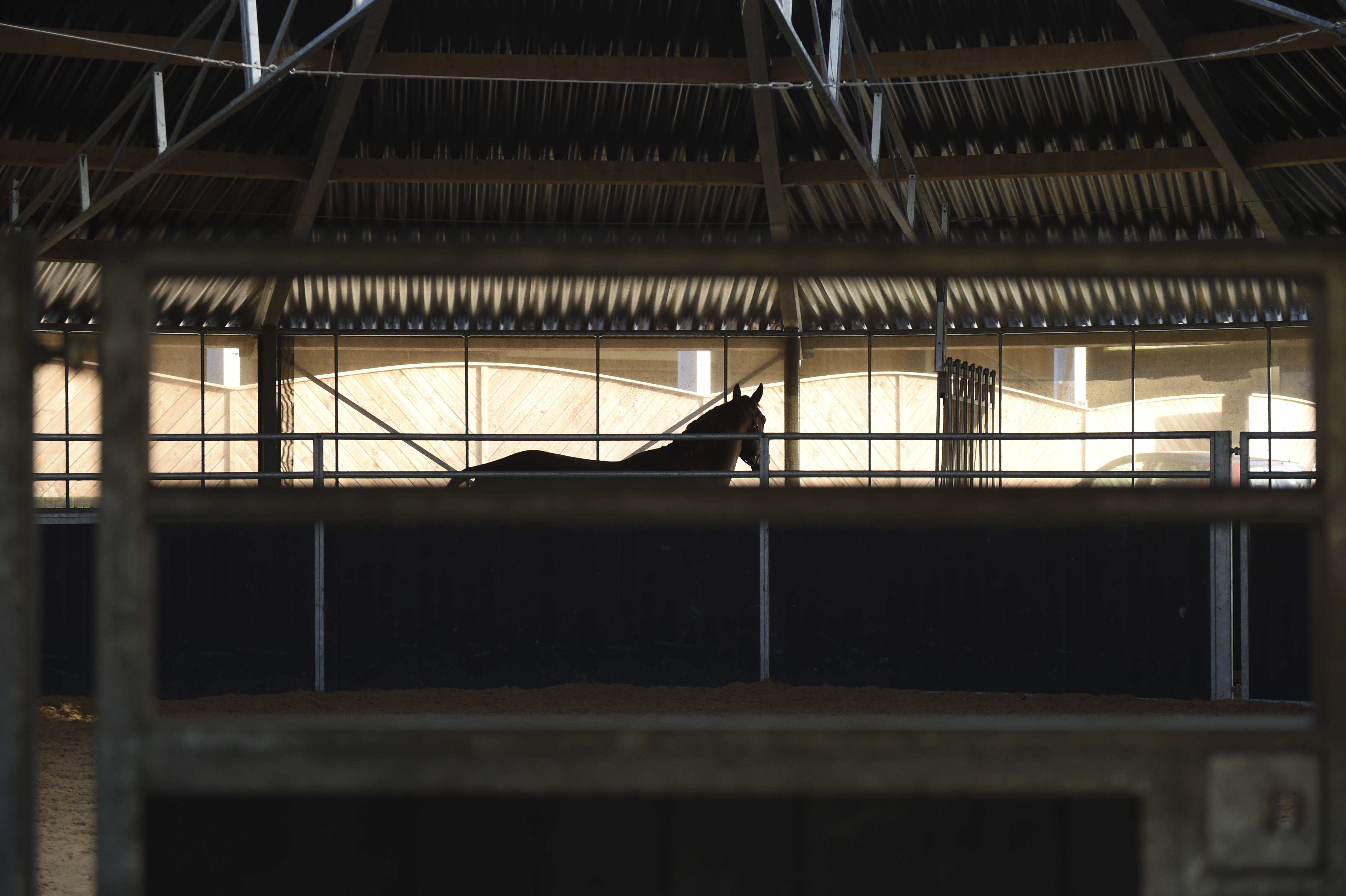 A horse on a covered horsewalker