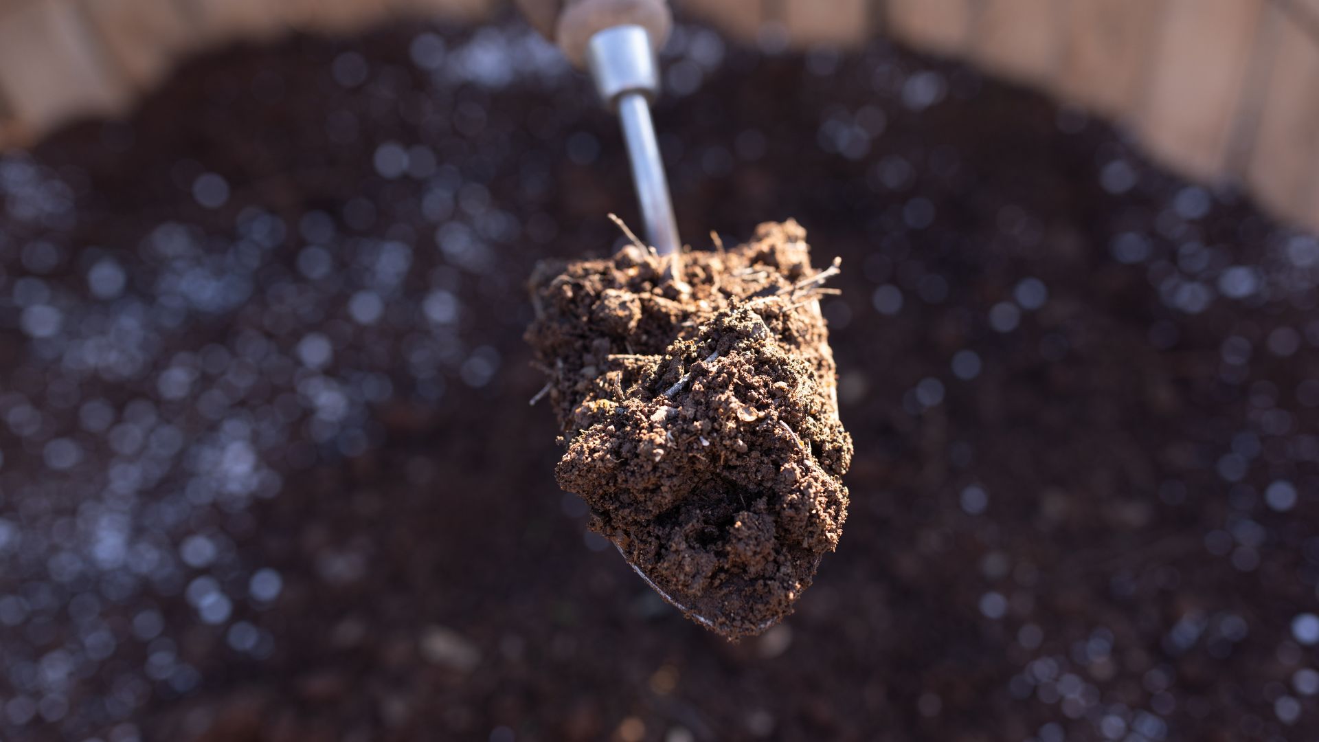 picture of trowel with soil on it