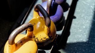 A collection of yellow and purple kettlebells in the sunshine