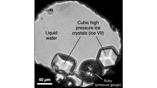 A microphotograph showing cubic crystals of ice VII growing in liquid water at a pressure of 30,000 atmospheres and a temperature of 266 degrees Fahrenheit (130 degrees Celsius).