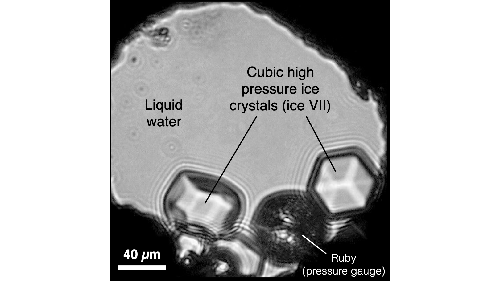 A microphotograph showing cubic crystals of ice VII growing in liquid water at a pressure of 30,000 atmospheres and a temperature of 266 degrees Fahrenheit (130 degrees Celsius).