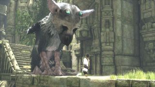 Trico and the boy