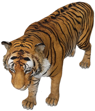 Tiger Google Search 3D model