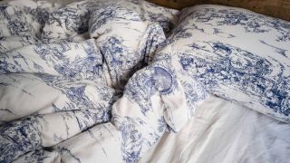 Blue and white bedding