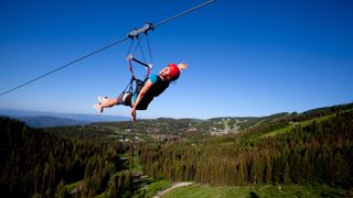 Woman zip lining across a forest