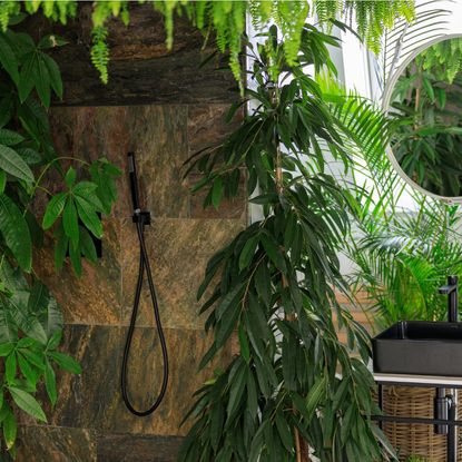 Many houseplants in a modern looking bathroom