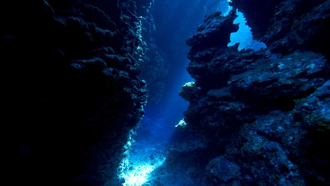 Colossal underwater canyon discovered near seamount deep in the ...