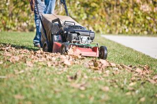 A lawn mower mowing over dead leaves on a lawn