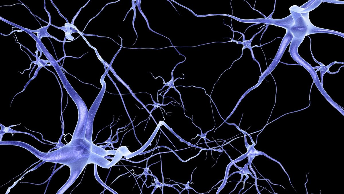 Computer illustration of blue neurons with long, thin projections shown against a black background