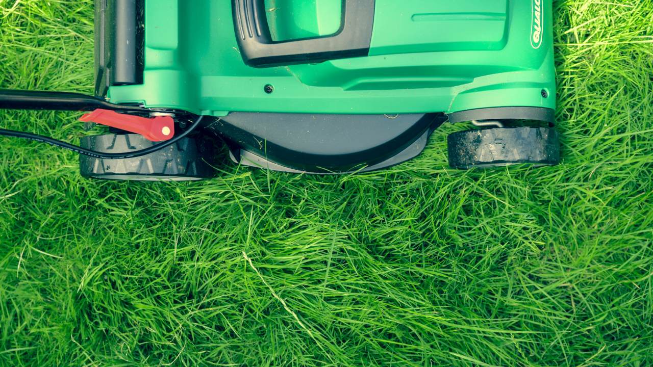 A lawn mower cutting grass