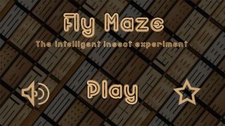 FlyMaze