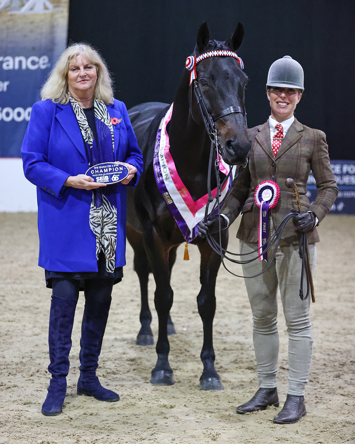 Tambrook Prayer in C 1st In Hand Pony