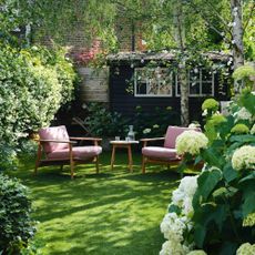Wooden garden armchairs and side table on lawn surrounded by hydrangeas with black garden building behind